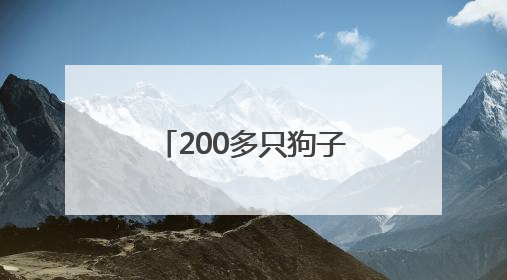 200多只狗子也“吃上席”！天津小伙在狗舍办了一场婚礼