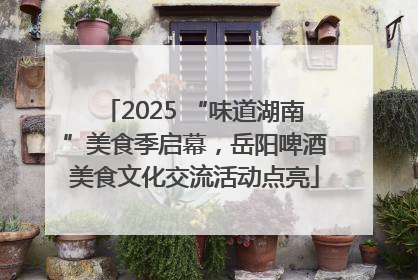 2025 “味道湖南”美食季启幕，岳阳啤酒美食文化交流活动点亮