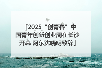 2025“创青春”中国青年创新创业周在长沙开幕 阿东沈晓明致辞