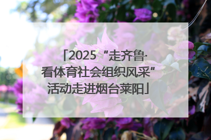 2025“走齐鲁·看体育社会组织风采”活动走进烟台莱阳