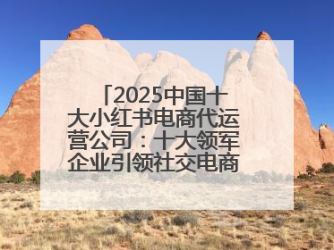 2025中国十大小红书电商代运营公司：十大领军企业引领社交电商新风向