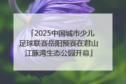 2025中国城市少儿足球联赛岳阳预赛在君山江豚湾生态公园开幕