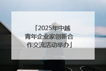 2025年中越青年企业家创新合作交流活动举办