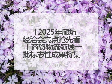 2025年廊坊经洽会亮点抢先看丨商贸物流领域一批标志性成果将集中发布