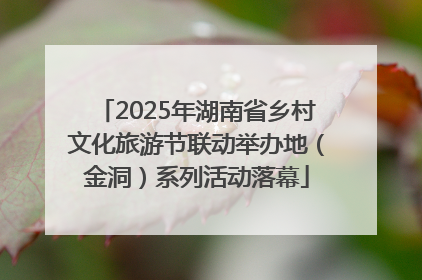 2025年湖南省乡村文化旅游节联动举办地（金洞）系列活动落幕