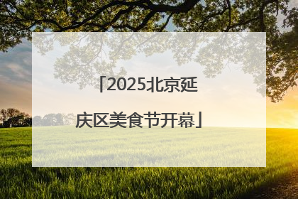 2025北京延庆区美食节开幕
