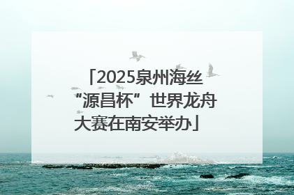 2025泉州海丝“源昌杯”世界龙舟大赛在南安举办