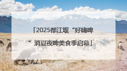 2025都江堰“好嗨啤”消夏夜啤美食季启幕