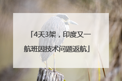 4天3架，印度又一航班因技术问题返航