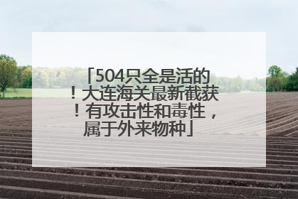 504只全是活的！大连海关最新截获！有攻击性和毒性，属于外来物种