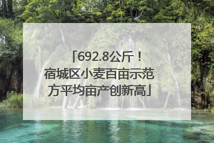 692.8公斤！宿城区小麦百亩示范方平均亩产创新高