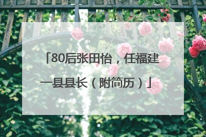 80后张田怡，任福建一县县长（附简历）