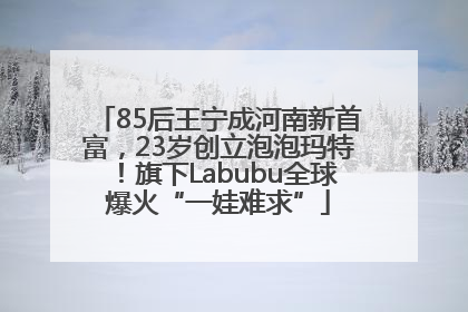 85后王宁成河南新首富，23岁创立泡泡玛特！旗下Labubu全球爆火“一娃难求”