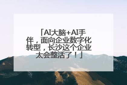 AI大脑+AI手伴，面向企业数字化转型，长沙这个企业太会整活了！