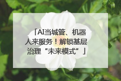 AI当城管、机器人来服务！解锁基层治理“未来模式”