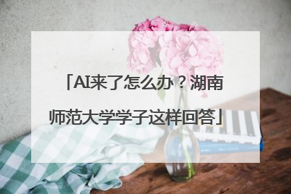 AI来了怎么办？湖南师范大学学子这样回答