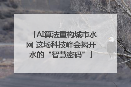 AI算法重构城市水网 这场科技峰会揭开水的“智慧密码”