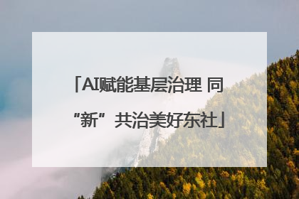 AI赋能基层治理 同“新”共治美好东社