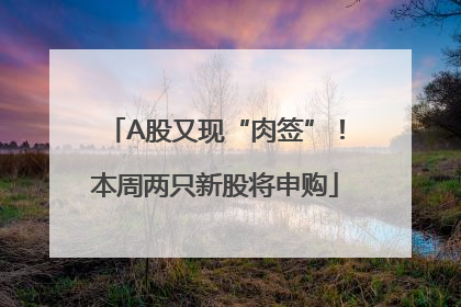 A股又现“肉签”！本周两只新股将申购