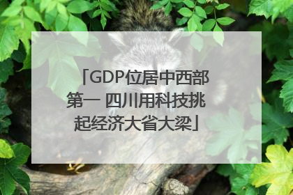 GDP位居中西部第一 四川用科技挑起经济大省大梁
