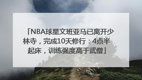NBA球星文班亚马已离开少林寺，完成10天修行：4点半起床，训练强度高于武僧