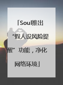 Soul推出“假人设风险提醒”功能，净化网络环境