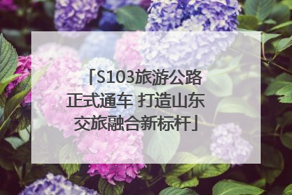 S103旅游公路正式通车 打造山东交旅融合新标杆